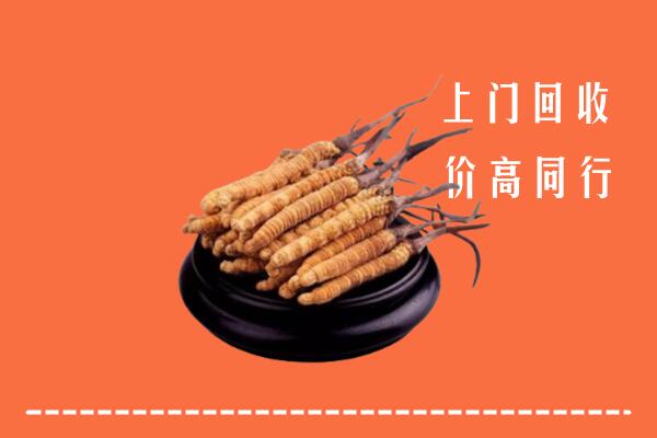 高价求购：咸阳市泾阳县回收散虫草