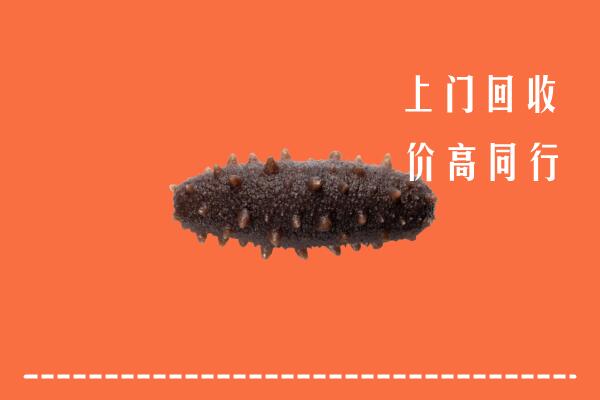 高价求购：咸阳市泾阳县回收海参