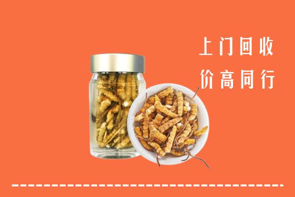 咸阳市泾阳县回收冬虫夏草
